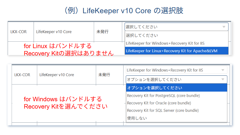 LifeKeeper-v10-における-ライセンス-メディアの取得方法-Google-スライド-11-10-2025_03_52_PM.png